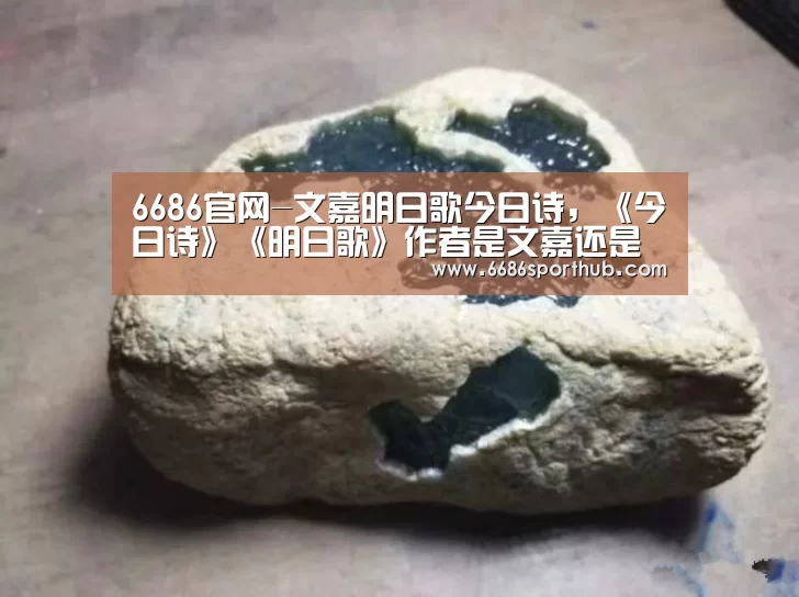 6686赛事