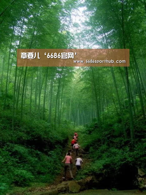 6686官网