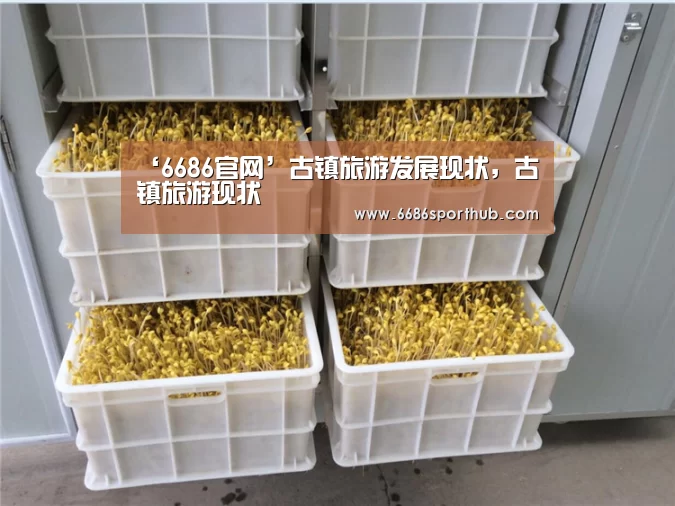 ‘6686官网’古镇旅游发展现状,古镇旅游现状(图1) 6686棋牌