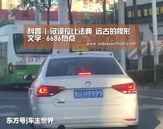6686赛事