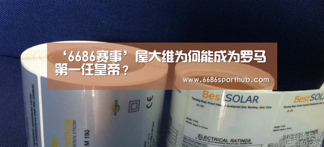 ‘6686赛事’屋大维为何能成为罗马第一任皇帝?(图3) 6686官网